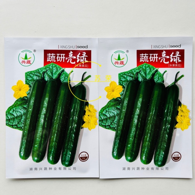 蔬研亮绿早熟强雌黄瓜种子节节有瓜瓜条顺直亮绿色油亮皮薄