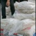 粉条杂粮土豆粉条大量现货供应（量大价优）价格可谈欢迎电联