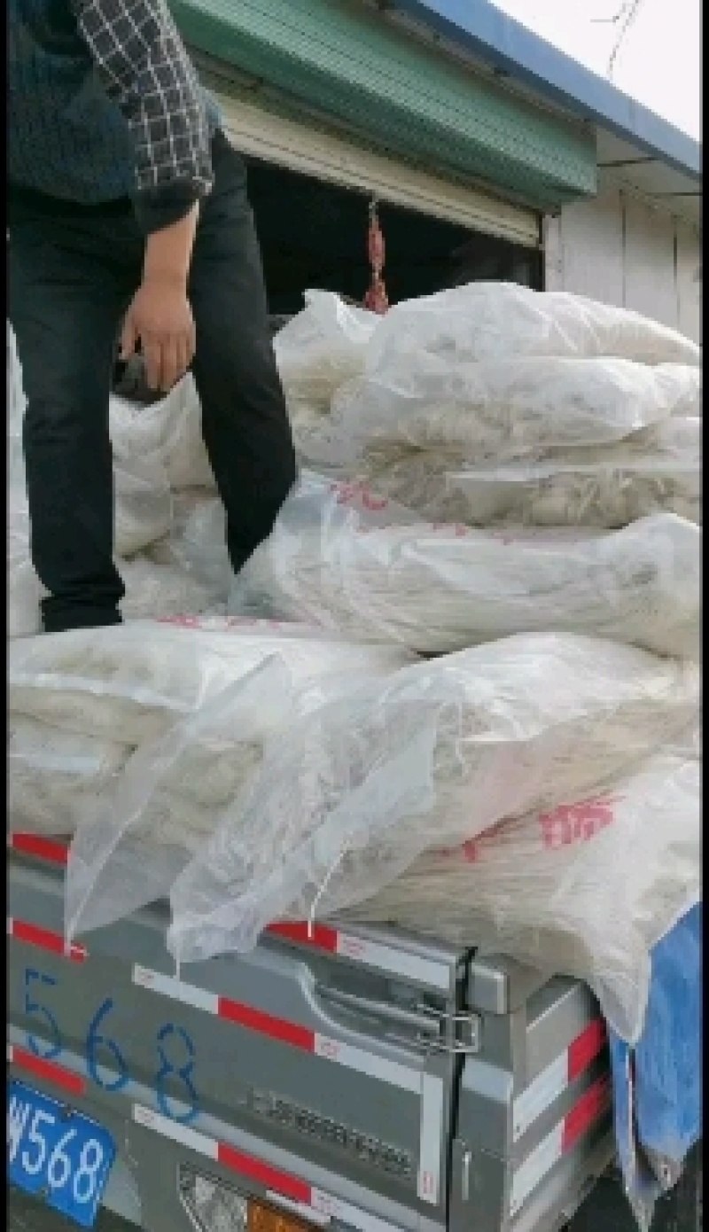 粉条杂粮土豆粉条大量现货供应（量大价优）价格可谈欢迎电联