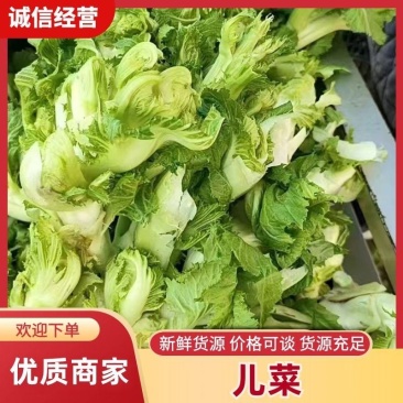 安徽砀山娃儿菜大量上市，保质保量，价格便宜，一条龙服务。