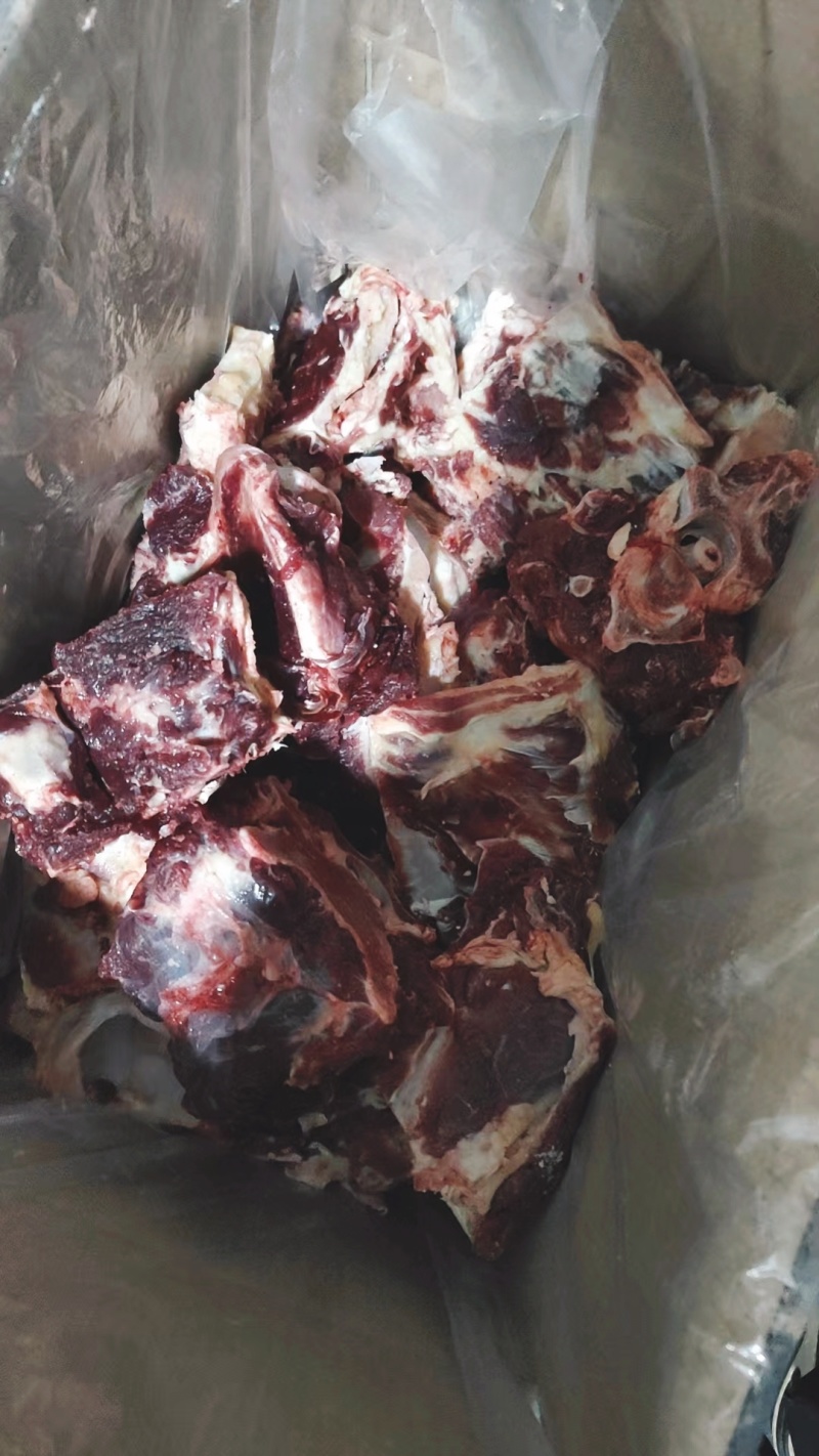 【牛手把肉】当地草原黄牛的大骨！鲜干速冻！适合煲汤或手抓