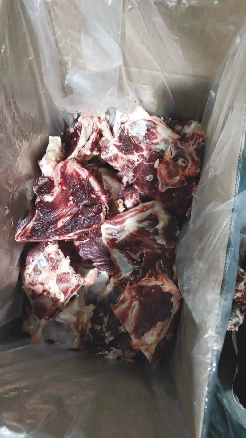 【牛手把肉】当地草原黄牛的大骨！鲜干速冻！适合煲汤或手抓