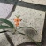 桂花茶中药(干货)