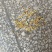 桂花茶中药(干货)