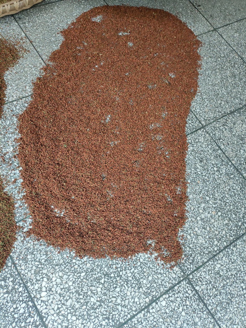 桂花茶中药(干货)
