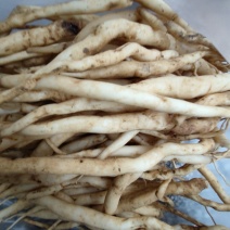 百部(干货)