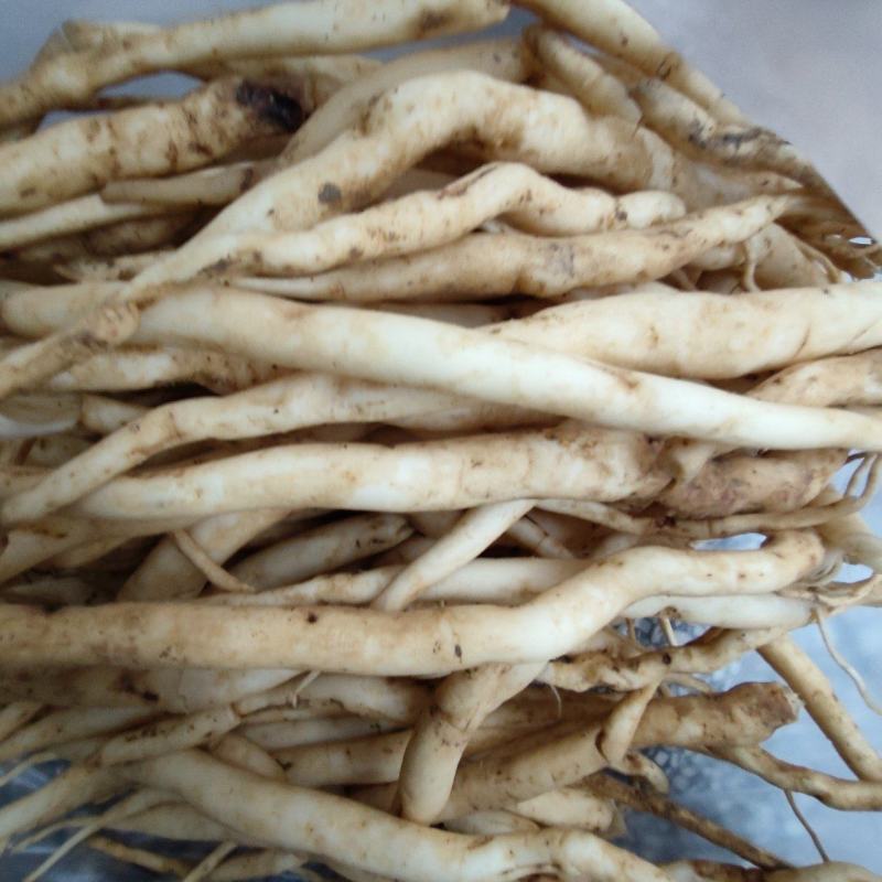 百部(干货)