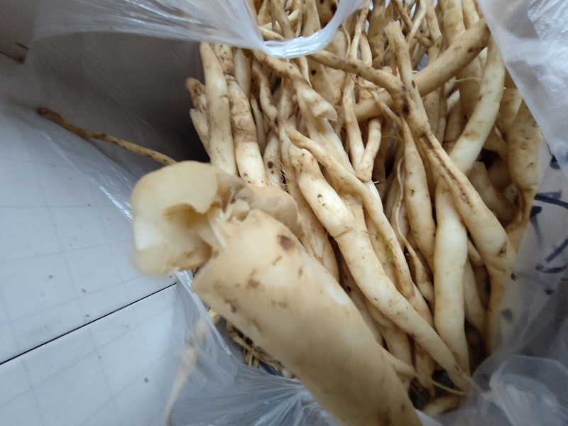 百部(干货)