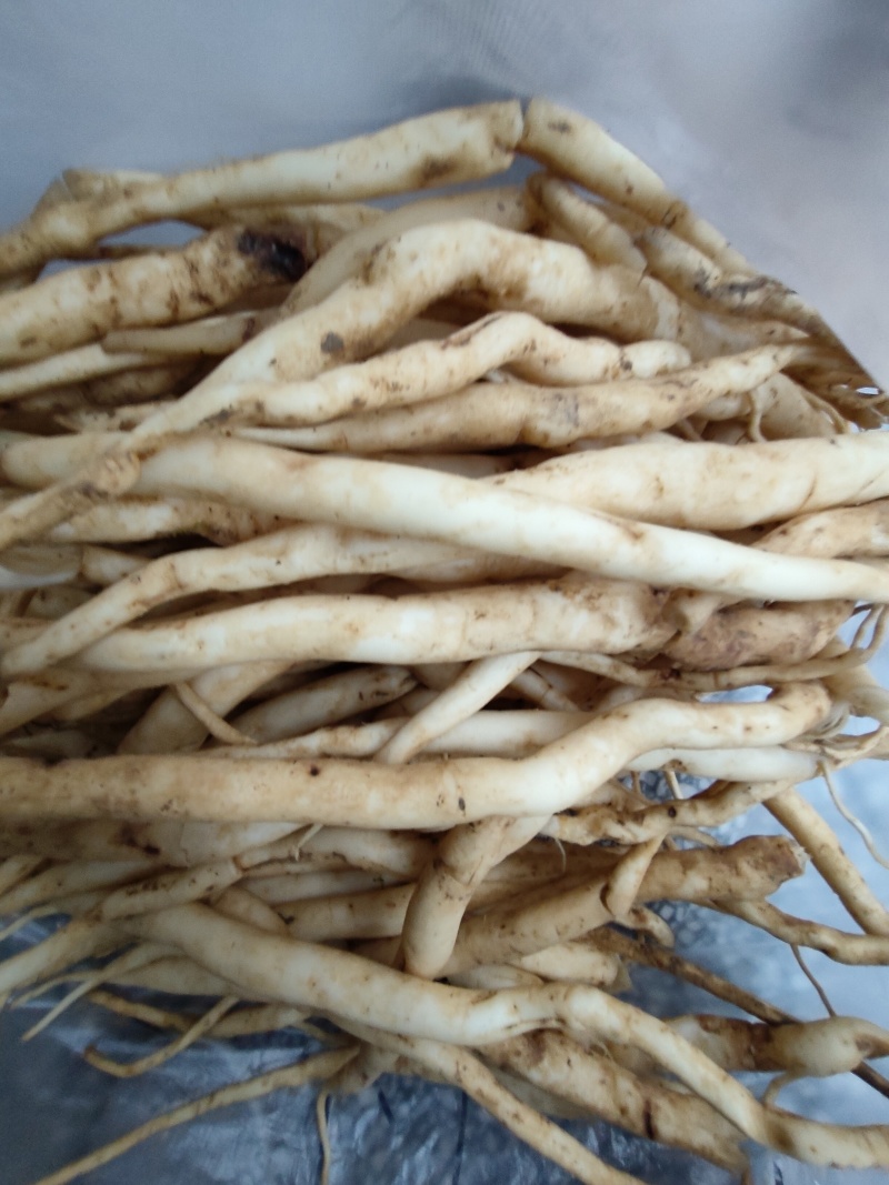 百部(干货)