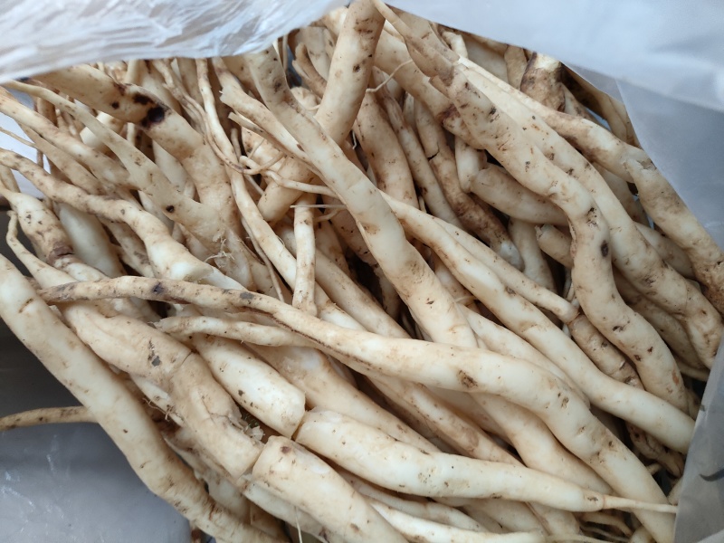 百部(干货)