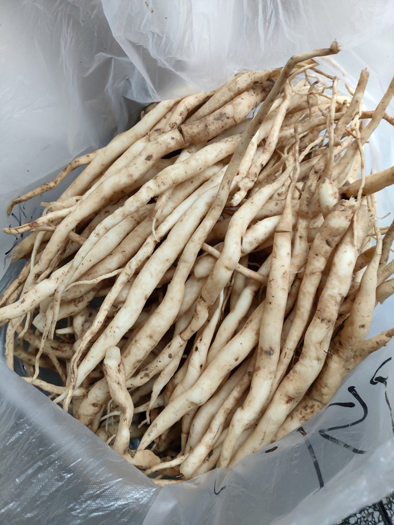百部(干货)