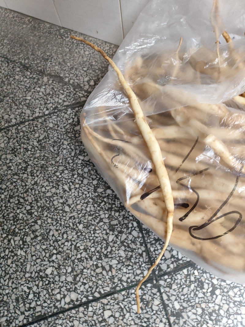 百部(干货)