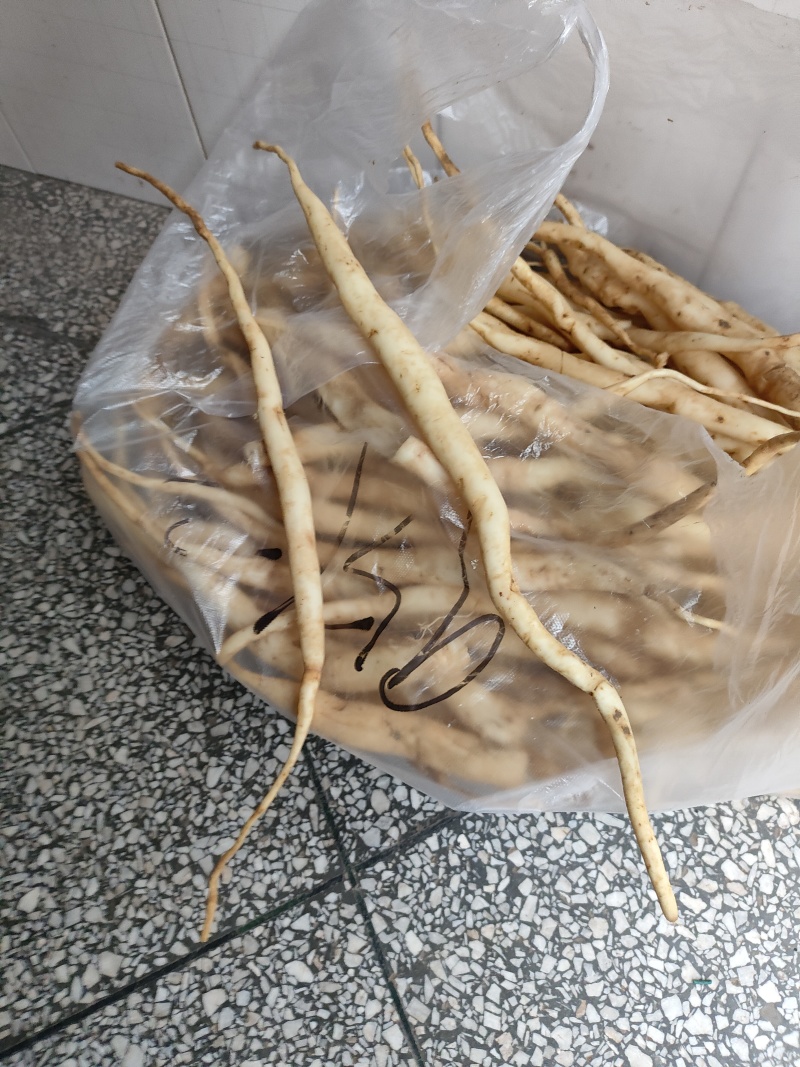 百部(干货)