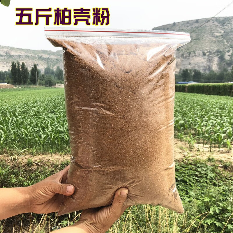天然栢壳粉烟供粉居家自制香料居家堂口***柏壳粉香道散装