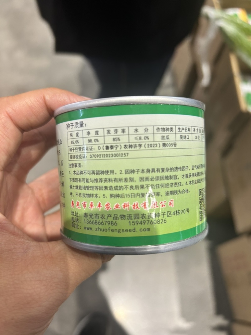 荷兰绿丰王丝瓜种子长丝瓜种籽耐寒耐热抗病高产特长丝瓜大田