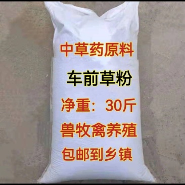 车前草粉兽用养殖猪牛羊鸡鸭饲料用车前草畜牧禽车前草粉