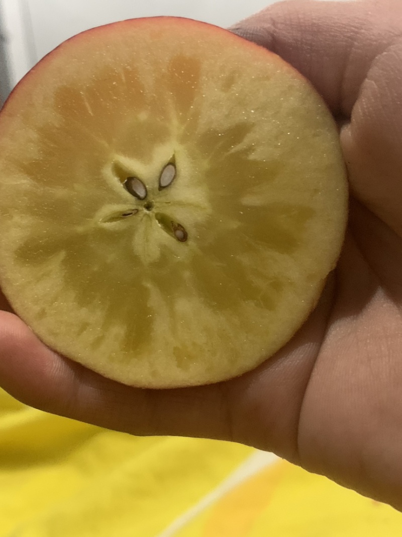 云南昭通丑苹果上市了，有喜欢的可以联系