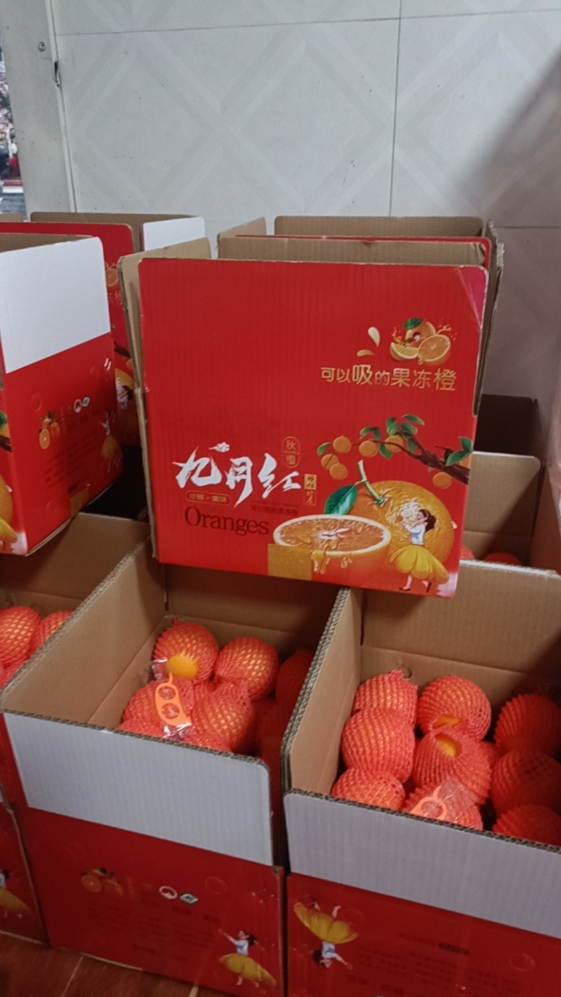 秭归九月红果冻橙纯甜爆汁产地一手货源电商批发出口外贸
