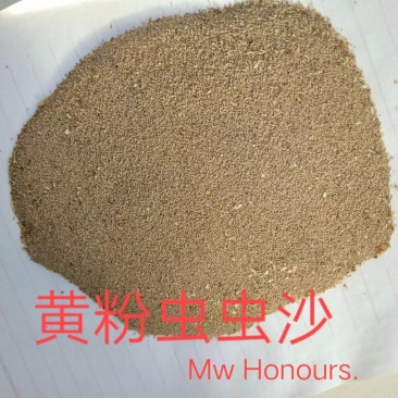 虫沙