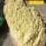 玉米次粉