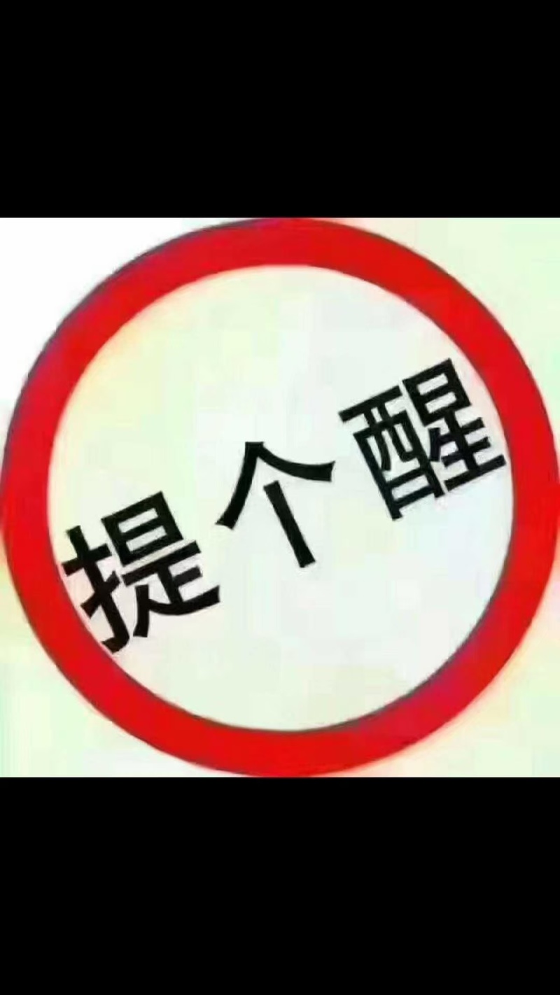 579小公鸡价格不高，质量很好，能接货的老板来联系