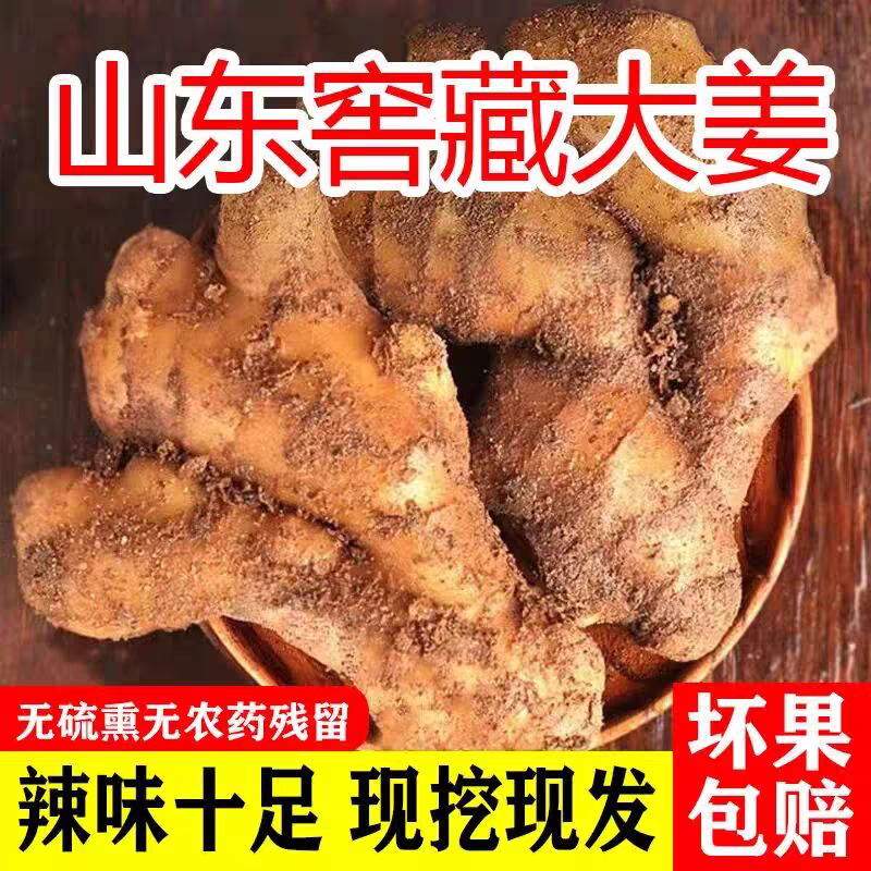 【大黄姜】山东生姜/小黄姜/产地直发/全国供应市场电商