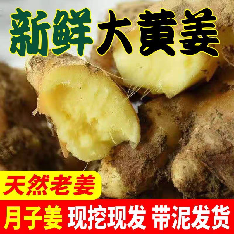 【大黄姜】山东生姜/小黄姜/产地直发/全国供应市场电商