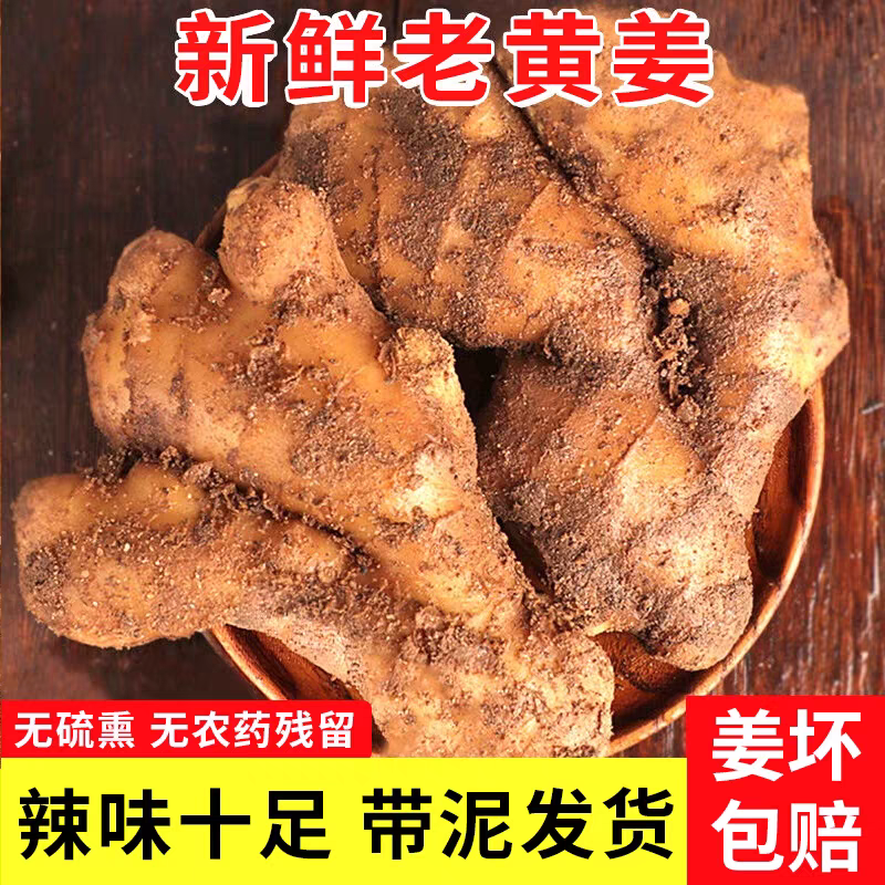 【大黄姜】山东生姜/小黄姜/产地直发/全国供应市场电商