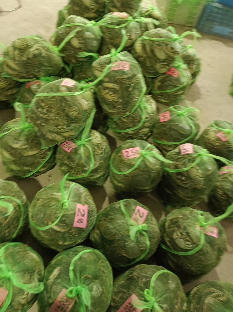 大闸蟹，各种规格母蟹，公蟹均有售欢迎老板前来下单