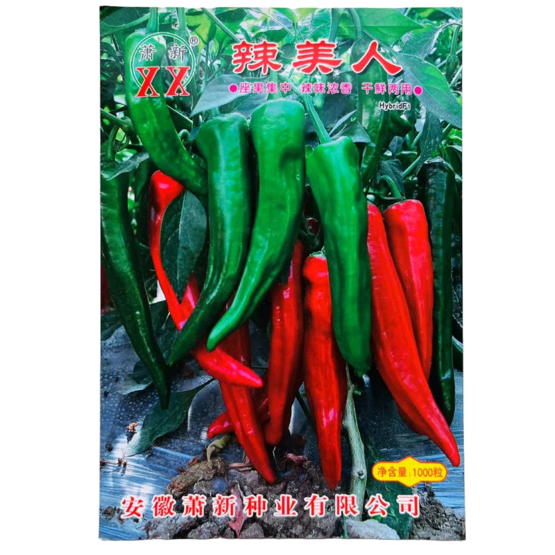 苏润辣妹子1号尖椒辣椒种子干鲜两用羊角辣味种籽四季青椒红
