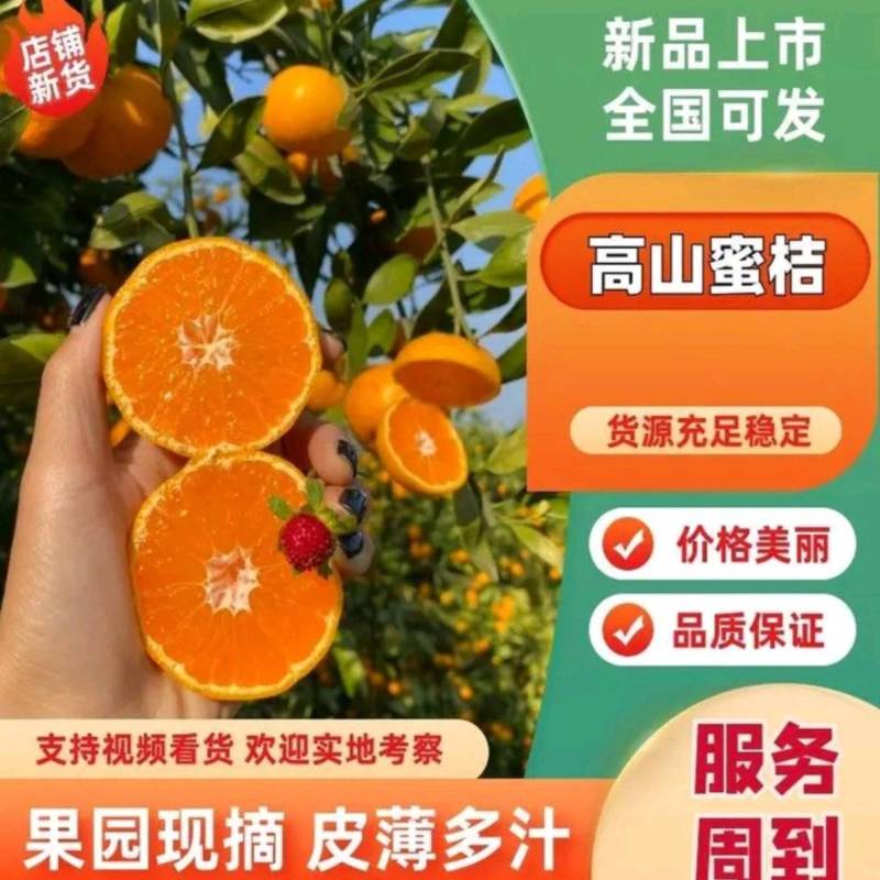 柑桔口感香甜细腻无渣果型扁光滑看园订货质量三包