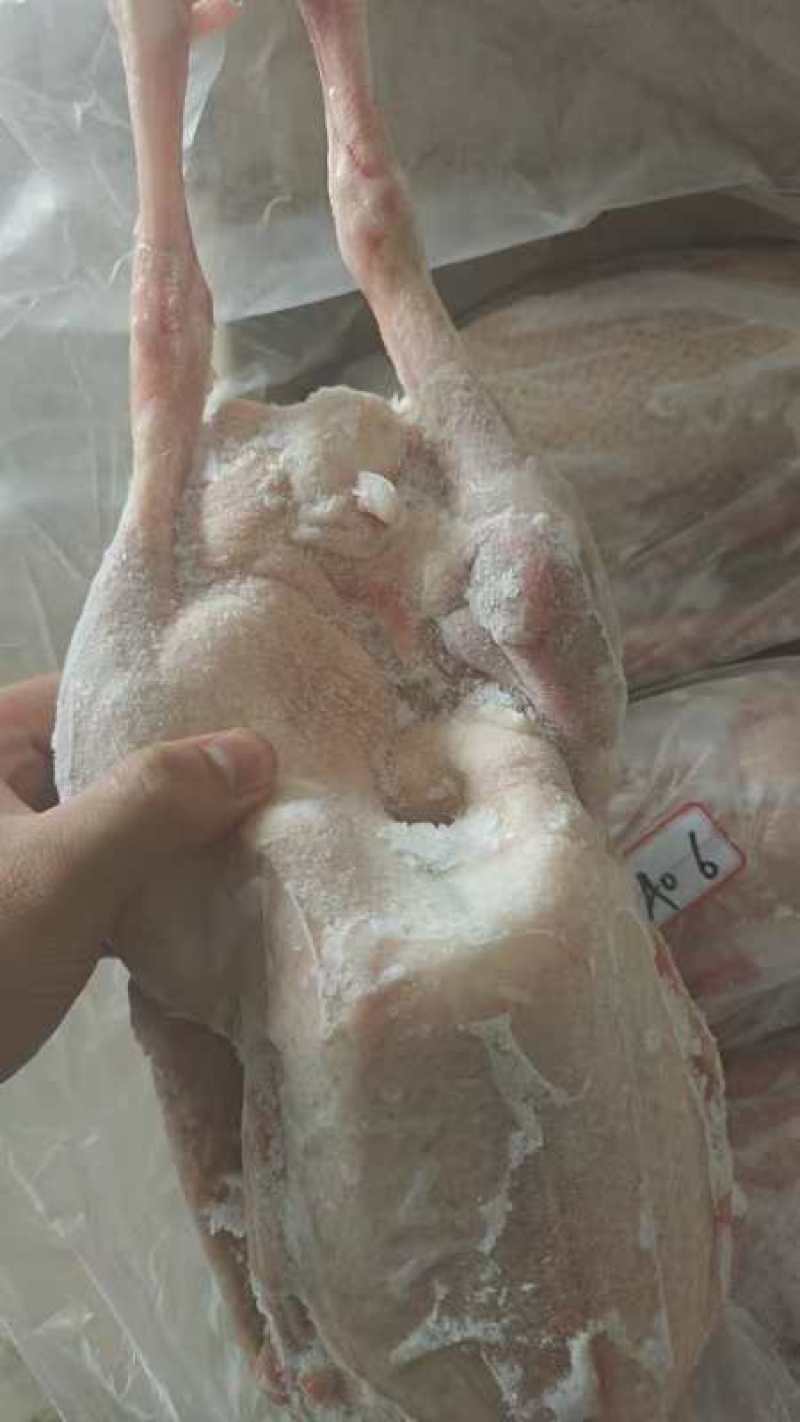 心肝仔鹅，厂家发货，全国冷链物流，资质齐全