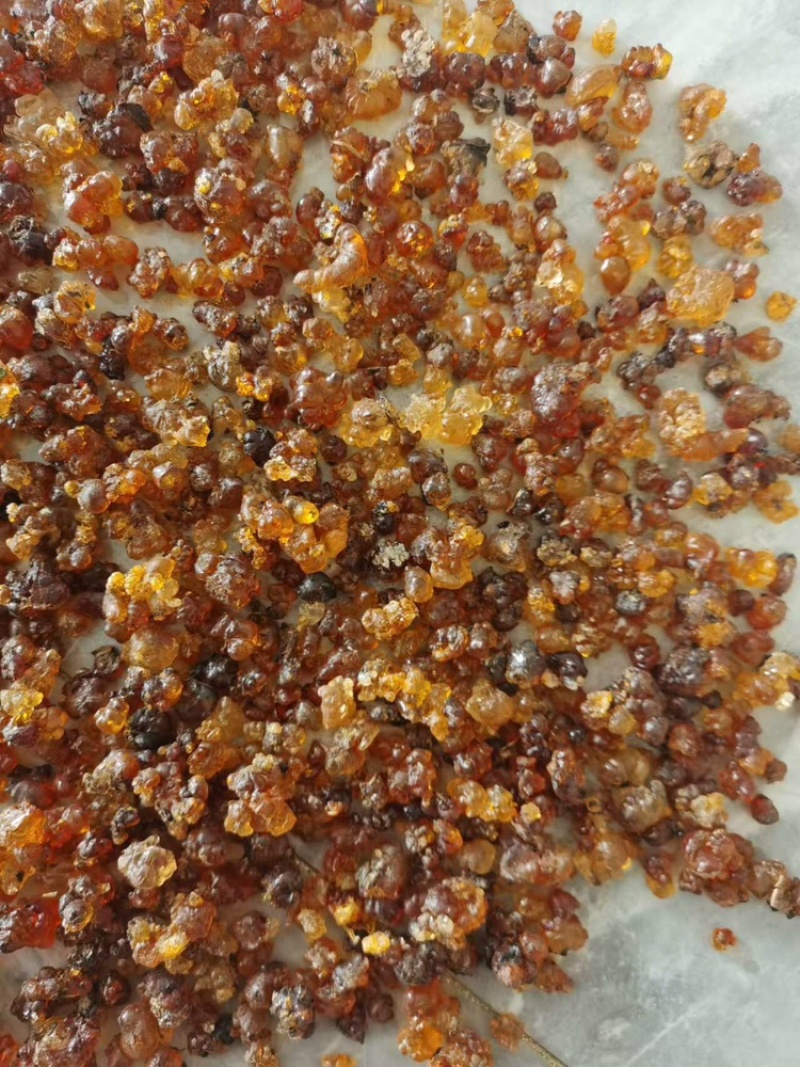 【精品】天然晾晒桃胶产地直发量大从优支持视频看货