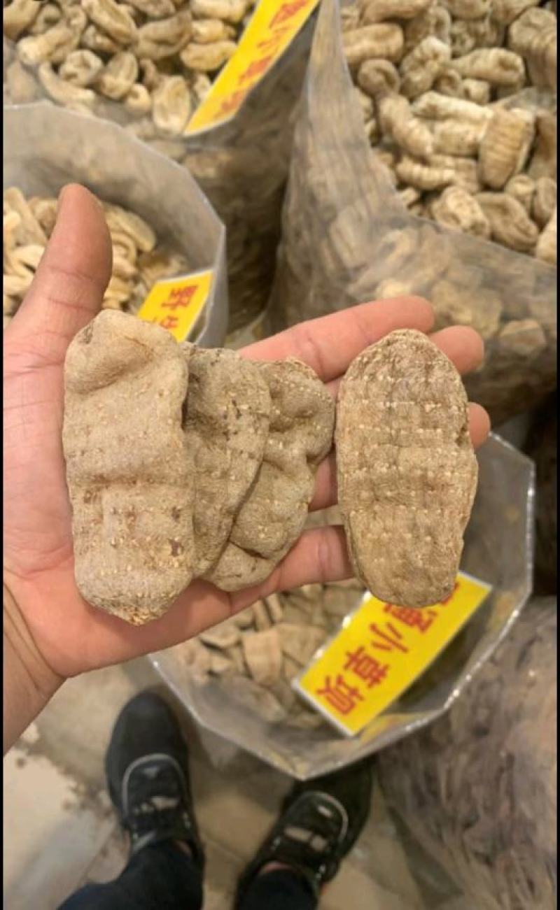 天麻新鲜云南昭通小草坝鲜天麻乌天麻红天麻干天麻云南特产