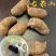 天麻新鲜云南昭通小草坝鲜天麻乌天麻红天麻干天麻云南特产