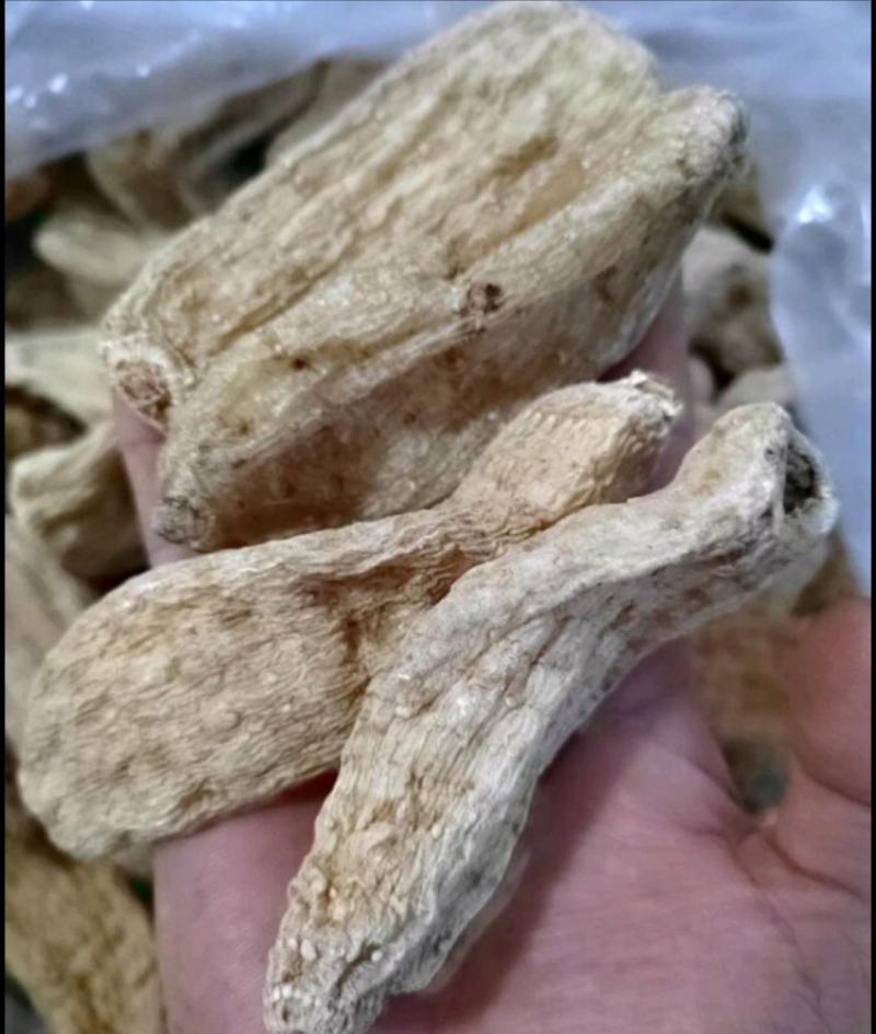 天麻新鲜云南昭通小草坝鲜天麻乌天麻红天麻干天麻云南特产
