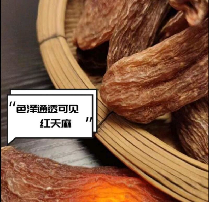 天麻新鲜云南昭通小草坝鲜天麻乌天麻红天麻干天麻云南特产