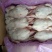 大日期临期肉食鸡白条，9.5公斤6.7只的，