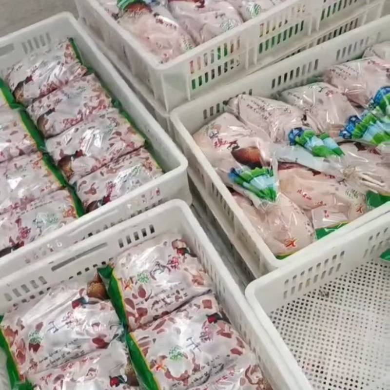 山东自家养殖活鸡现杀白条鸡
