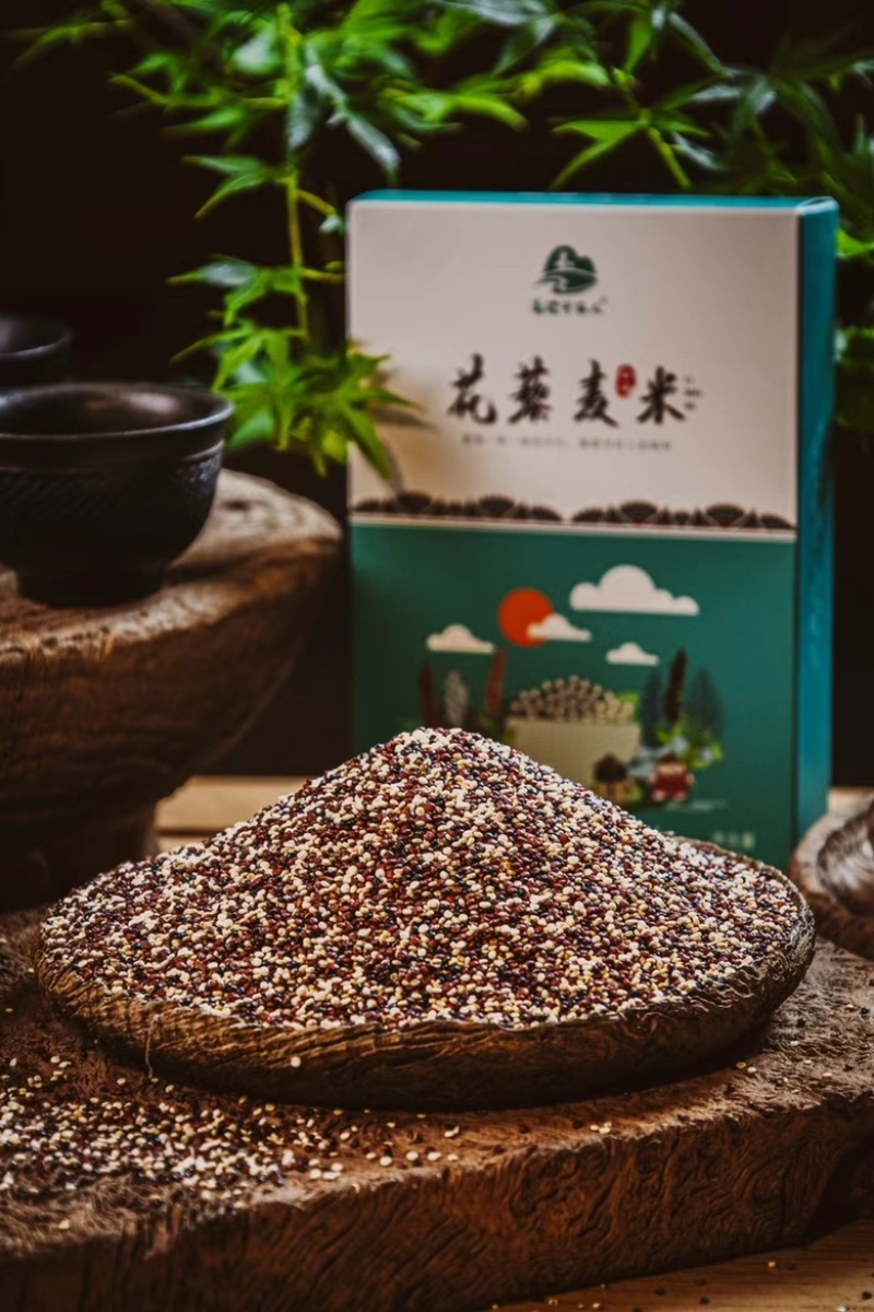 云南高海拔晚熟藜麦