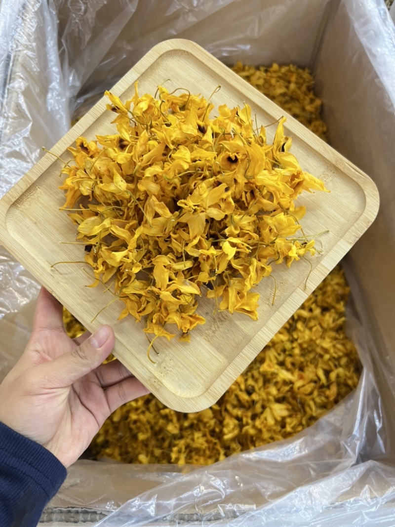 云南鼓槌石斛干花24年五月份新花，量大价优，基地直发