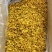 云南鼓槌石斛干花24年五月份新花，量大价优，基地直发