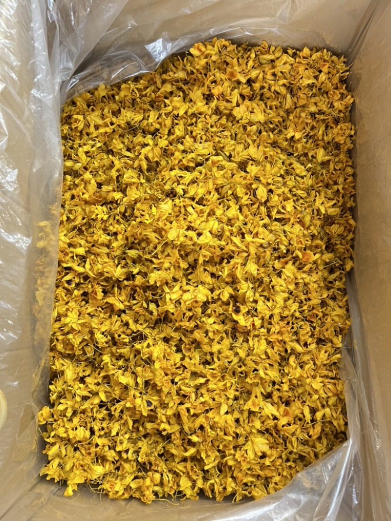 云南鼓槌石斛干花24年五月份新花，量大价优，基地直发