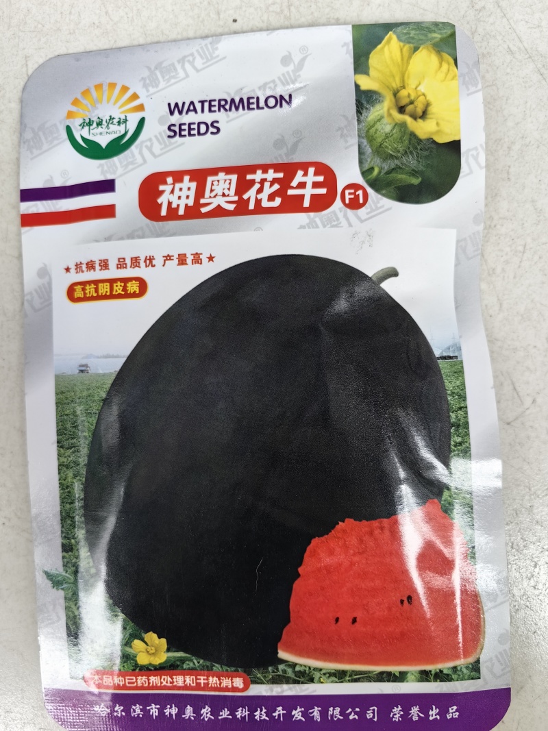 黑皮大西瓜种子神奥花牛中晚熟红瓤高产大果高圆黑麒麟西瓜种