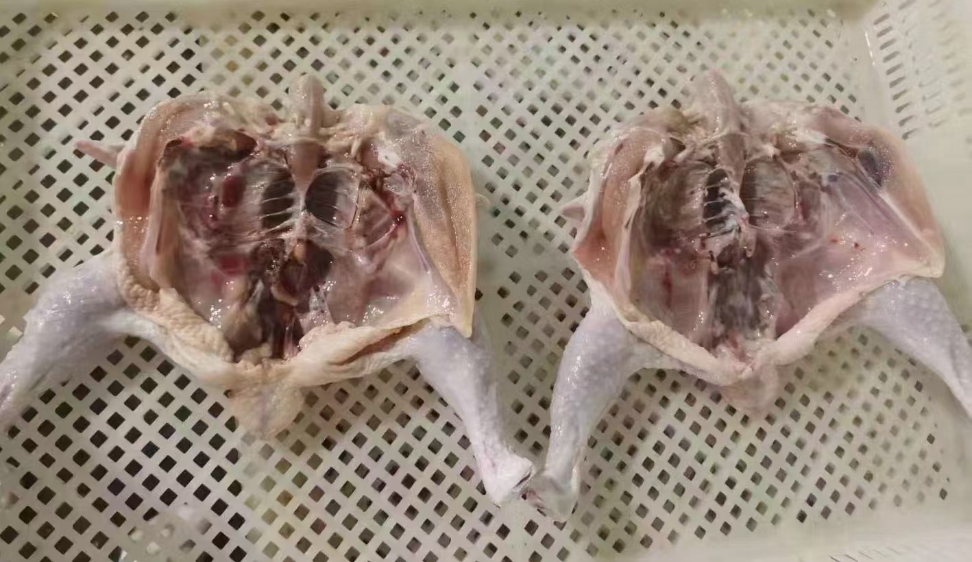 鸡肉炖萝卜做法步骤图