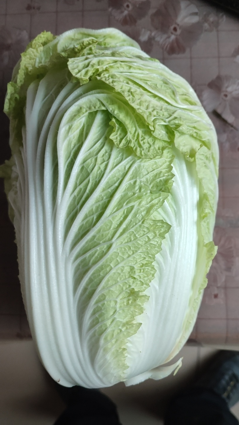 白菜