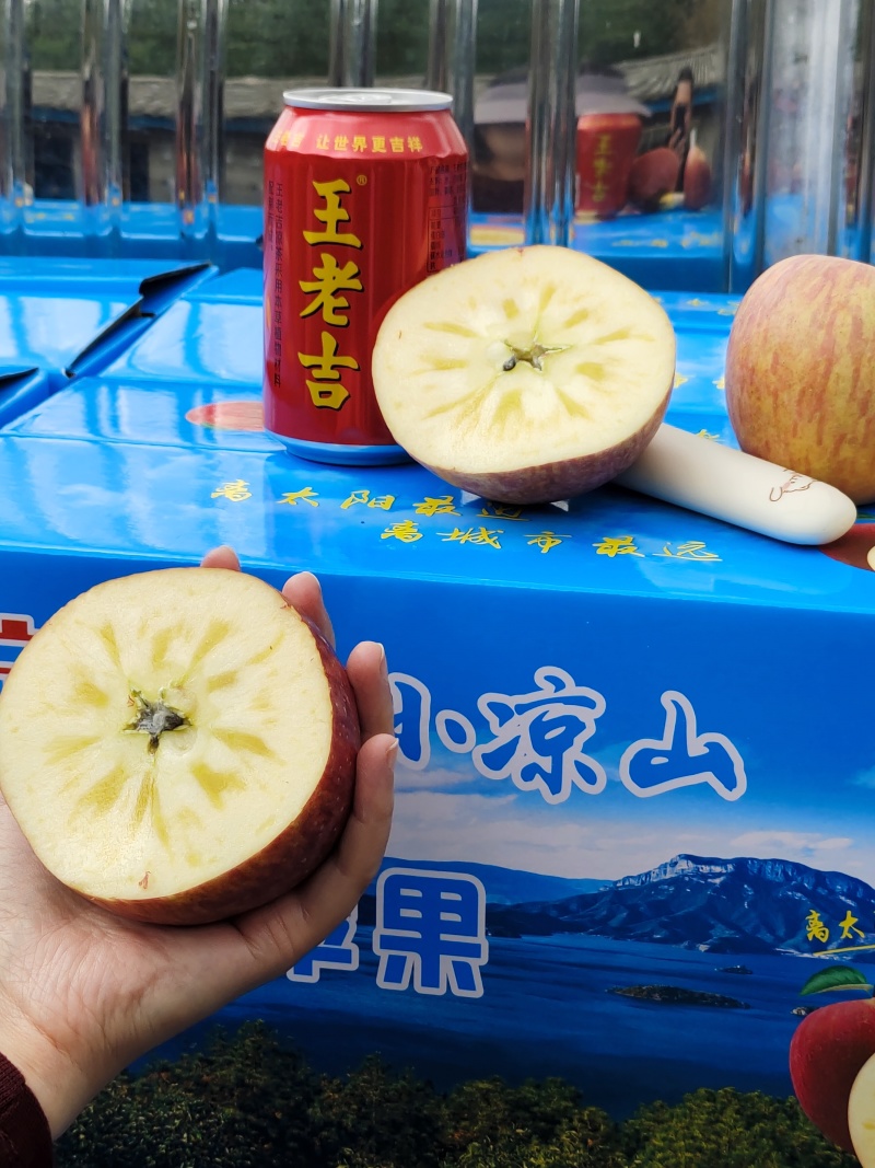 糖心苹果一件代发