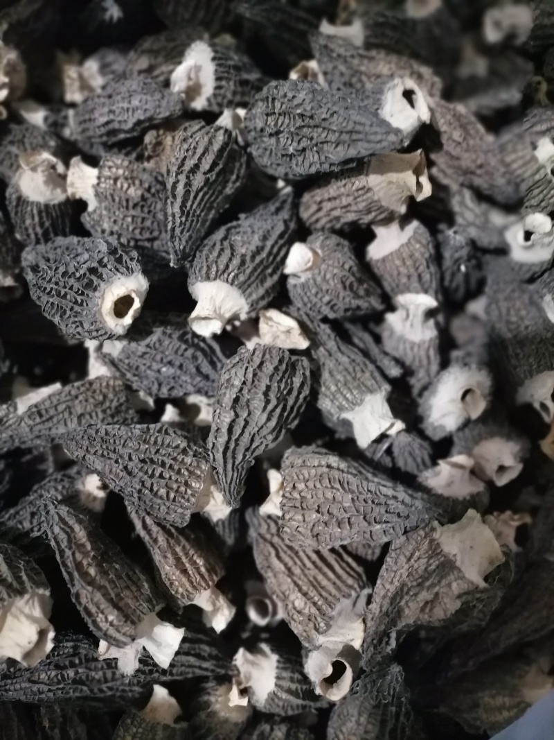 大别山精品羊肚菌鲜货干货羊肚菌礼盒羊肚菌肉厚纹路细个头大