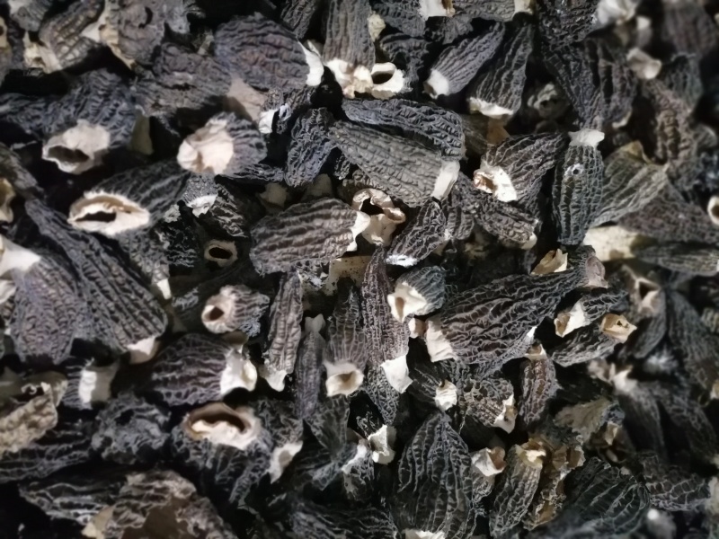 大别山精品羊肚菌鲜货干货羊肚菌礼盒羊肚菌肉厚纹路细个头大