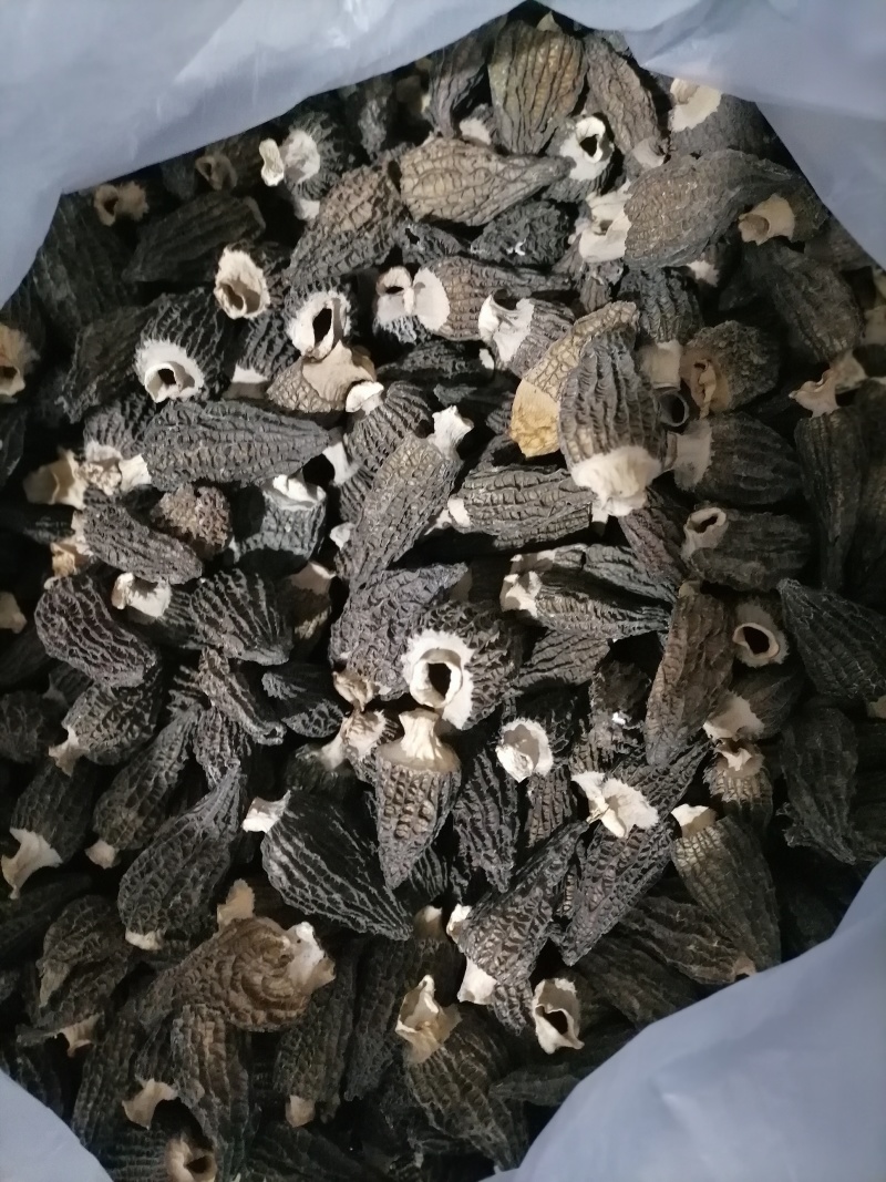 大别山精品羊肚菌鲜货干货羊肚菌礼盒羊肚菌肉厚纹路细个头大